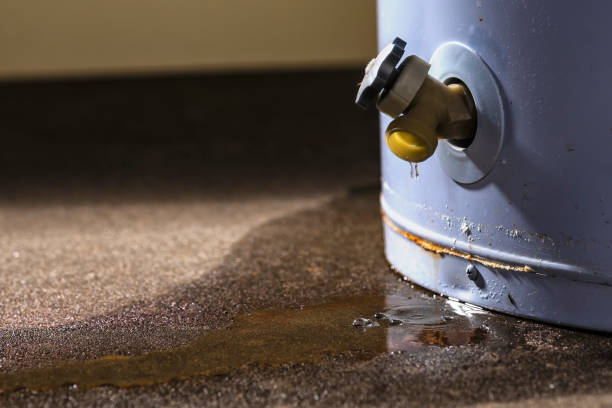 Best Emergency water damage restoration  in Lexington, MS