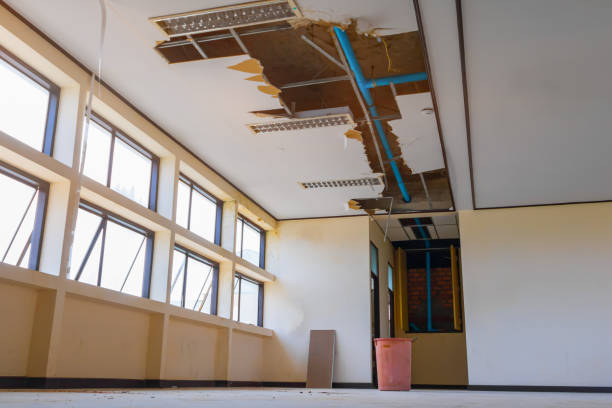 Best Mold removal after water damage  in Lexington, MS