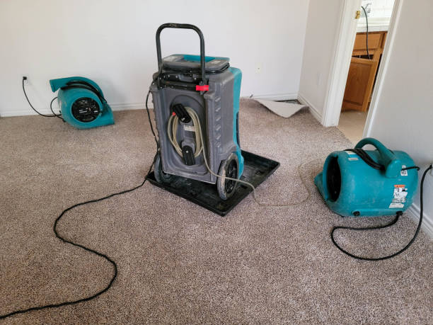 Best Carpet water damage restoration  in Lexington, MS