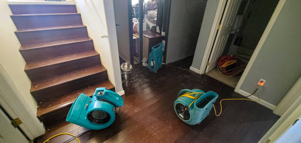 Best Mold removal after water damage  in Lexington, MS