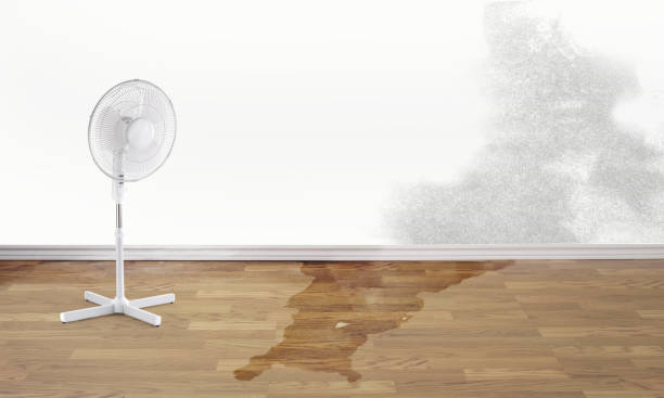 Best Emergency water damage restoration  in Lexington, MS