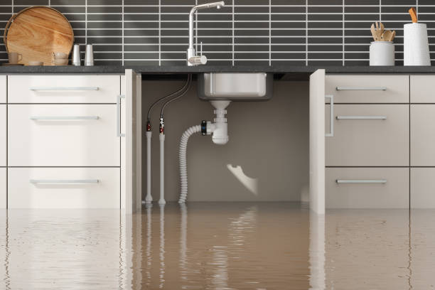 Best Sewage cleanup and water damage restoration  in Lexington, MS