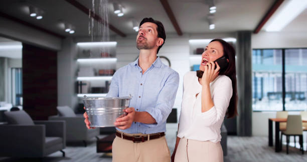 Best Flood damage cleanup  in Lexington, MS