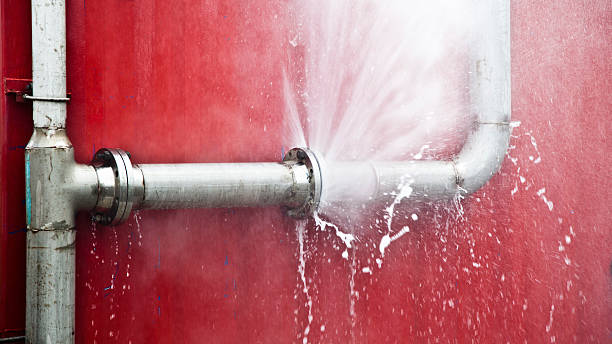 Best Professional water damage repair  in Lexington, MS