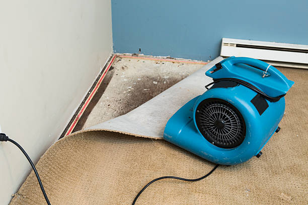 Best Water damage contractors near me  in Lexington, MS